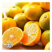 서귀포 하례마을 타이백 감귤 3kg (2S-M 45과 내외 실중량)