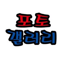 포토갤러리 가을환경판 환경미화 교실 어린이집 추석, 단품