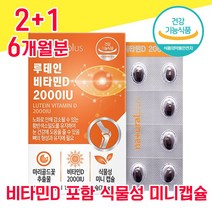 식약청 식약처 인정 인증 루테인 비타민 D 식물성 미니 캡슐 캡술 루테린 류테인 뉴태인 누태인 눈 건강 좋은 음식 홈쇼핑 침침 흐릿 뻑뻑 공시생 수험생 학생 직장인 중년 40대, 2+1 6개월분 - 다니마켓