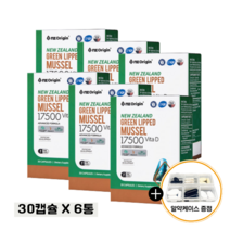 뉴질랜드 코스트코 초록입홍합오일 MUSSELS 초록입 푸른 청홍합 6통