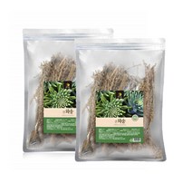 건와송 말린생와송 국내산 100g 2팩, 2개