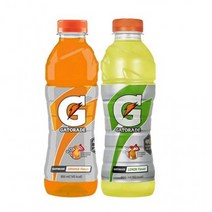 총20개x600ml 게토레이 각10개 오렌지/레몬 게토레이600 게토레이페트병 작은병 수분, 단품, 단품