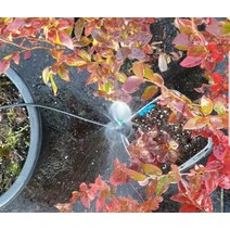 Sp3 미니스프링쿨러 미스트노즐 관수자재 스틱