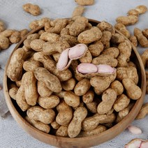 23년 국산 햇땅콩 고소한 피땅콩 삶아먹는 생땅콩 1kg, 5kg