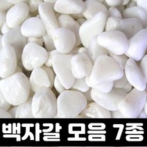 하얀자갈 백자갈 3kg 흰 돌 정원 마당 자갈 깔기 조약돌 어항 화분 용 미술 야외 실내 인테리어, 1종