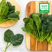 삼시세끼연구소 친환경 유기농 시금치 섬초 200g 300g, 친환경 시금치 200g