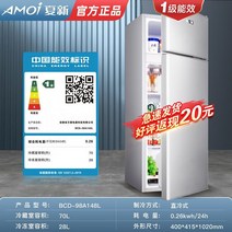 1인가구 냉장고 150리터 180리터 100리터 500리터 300리터 미니 냉동고 냉동실, 98P148 양문형 실버