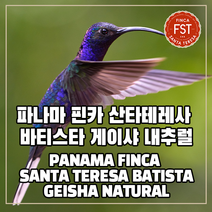 (커피생두) 315 파나마 핀카 산타테레사 바티스타 게이샤 내추럴 1kg, 1개