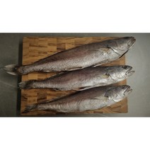 국내산 삼천포 말린민어 마른 반건조 반찬용 제수용 말린생선, 소