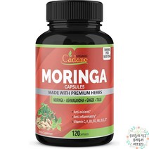 오가닉카데인 유기농 모링가 파우더 3000mg 120캡슐