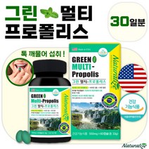 프리미엄 브라질 그린 프로폴리스 츄어블 60캡슐 1개월분 . 여성 남성 수험생 직장인 주부 중년 노인 부모님 강사 목 사용이 많은 직업 선생님 환절기 구취 구강 항균, 3통
