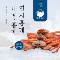 박달대게선물  싸게파는곳 검색결과