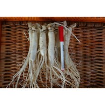 금산인삼 6-4년 영업용 삼계 가정용 정과용 믹서용 선물용 원수삼 세척수삼 금산부부인삼, 1개, 세척/5-6년 원수삼12-15뿌리