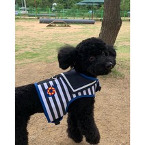 [무료배송 할인제품] 강아지 마린룩 하네스 옷 목줄 리드줄포함 가슴줄 하네스옷 강아지티셔츠 크롭티, 레드, M