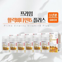 힘 기운 없을때 지칠때 육체 피로 체력 저하 조혈 에너지 필요할때 에 좋은 먹는 프리미엄 비타민 비 복합체 영양제 남성 여성 중년 장년, 6BOX(1년분)