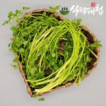 식탐대첩 세척 선별 손질 물미나리 2kg, 단품