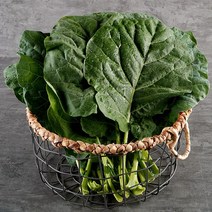 [KT알파쇼핑]두리 케일 녹즙용 1kg