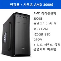 인강용 사무용 AMD 3000G 200512, 기본형