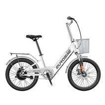 EMTB 자토바이크 엄마자전거 전기팻바이크 20 인치 숨겨진 디스크 브레이크 전면 격 흡수기, 10ah battery, 04 white Spoke wheel