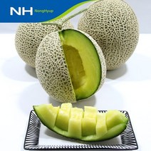 기타 곡성농협 메론 멜론 8kg(5수), 1box, 메론 중과 5개 (총8kg내외)