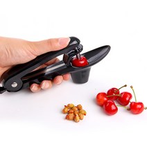 인블룸 대추 체리씨 제거도구, 블랙