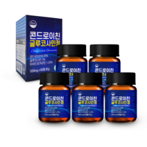 웰리즈 관절엔 콘드로이친 글루코사민정 2개월분, 5개