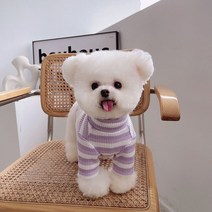DFMEI 반려견 옷 여름룩 얇은 스트라이프 찻잔 강아지 테디베어 소형견 강아지 통풍털 빠짐 방지, 자주색