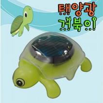 GDG1793 태양광 기어가는 거북이 과학부품/과학소품/과학재료/과학도구