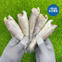 서해안 국산 참조기 두절조기 10미+10미 900-1kg 작은조기 구이 조림용 손질조기, 국산 두절 참조기 20미