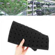 수경 재배 스펀지 원예 부자재 키트 식물 온실 가정용 재배기 그로우폼 1 개 100 구멍 물 사각형 모종 스폰지 식민지 뿌리 고정 장치 흙없는 블록