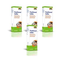 선라이프 판테놀 살베 100ml Sunlife Panthenol salbe, 4팩