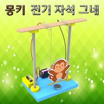 몽키 전기 자석 그네 만들기(5인용)f
