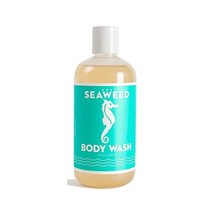Swedish Dream Organic SEAWEED Body Wash | No Sulfates Parabens or Silicones | Vegan | Cruelty Free