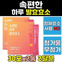 속편한 하루 곡물 발효 효소 유산균 프로타아제 2통 식품 아밀라아제 곡물효소 분말 가루 퍼우더 현미 새싹