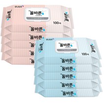 모나리자 화장지 휴지 티슈 THE 올바른 캡형 물티슈 100매X10개