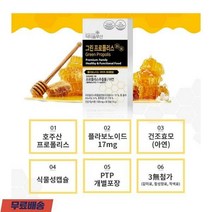 호주산 그린 프로폴리스 플라보노이드 건조효모(아연) 식물성 30캡슐 2개
