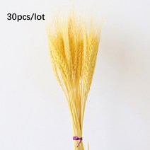 팜파스 억새풀 핑크뮬리 대형 그라스 갈대 인테리어소품 조화 꽃 귀리 다발의 30pcs 귀 작은 무리 잔디 장식품 자연 말린 인공 식물 홈 장식 143, 밀 이삭-노란색