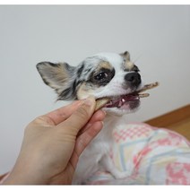 웰리아펫 뼈닭발껌 국내산 강아지 수제 간식 무방부제 다이어트 뼈간식, 500g
