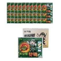 하루온 박상병 손난로 핫팩 대용량, 30개