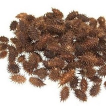 그린내추럴 국내산 창이자(도꼬마리) 300g, 1개