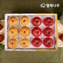 팜커머스 [20%가 19 920원] 정성담은 과일세트 2호 5kg[사과6과+배6과], 단일옵션