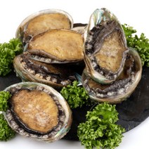 완도 활 전복 제철 1kg 산지직송, 2)전복 대 10~11미 1kg, 1개