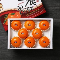 [빛과나무] [퀵/서울전역]자연속 빛가득 제주천혜향세트 3kg(11-15입), 상세 설명 참조