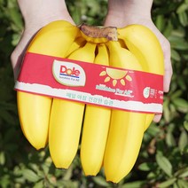 (오늘 출발) 고당도 Dole 바나나, 바나나 1다발