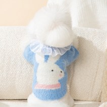 강아지스웨터 비숑 슈나우저 작은반려견 봄가을겨울 겨울가디건, XS(권장 체중 1-3kg), 레빗레이스