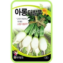아롱다발무 씨앗 소형무 김장 가을 초롱무 계 Radish seed, 10g, 1개