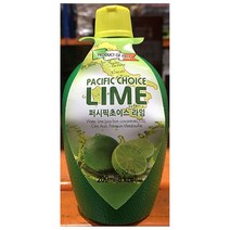 라임주스 농축액 과즙음료 식자재도매 (200mlX1개), 1, 1, 본상품선택