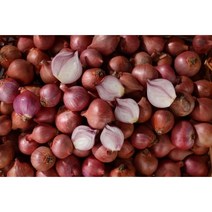 r . lunuloka 모충 샬롯 미니양파 중국양파 shallot 1kg, 1개