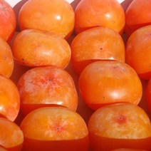 [AMISO] 냉동홍시10kg(80~90과수) 경북 청도에서 직접만든 냉동홍시10kg(80~90과수) 영업용 업소용, 1개