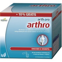 휴브너 아르트로 독일 관절 영양제 파우더 66스틱 660g hubner arthro
